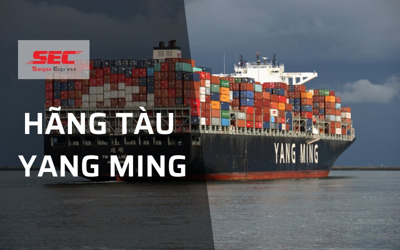 Hãng tàu YangMing - Hãng tàu container lớn thứ 2 của Đài Loan