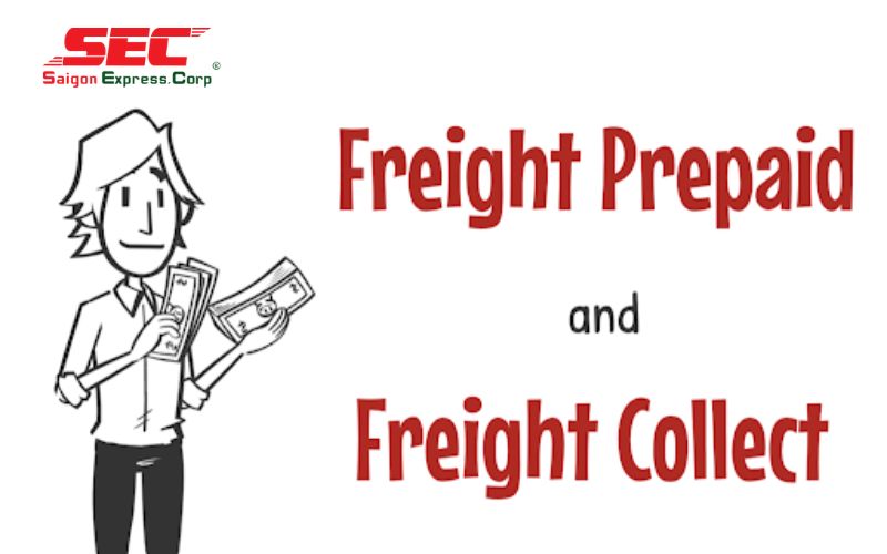 phan-biet-freight-prepaid-va-freight-collect